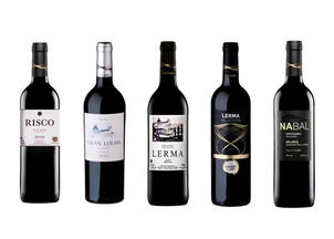 葡萄酒進口全流程解析 從國外貨源到國內(nèi)貿(mào)易的一站式服務(wù)指南